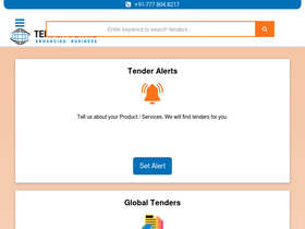 'tenderdetail.com' screenshot