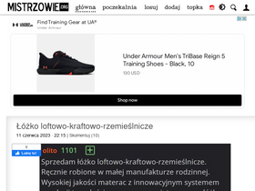 'mistrzowie.org' screenshot