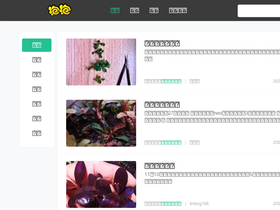 'paopaosz.com' screenshot