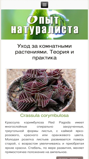 azflora.com