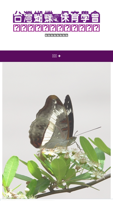 butterfly.org.tw