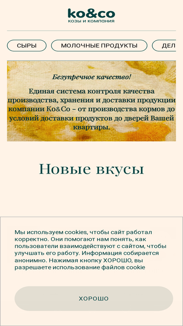 koico.ru