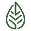 medicalsaints.com