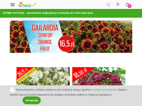 'florini.pl' screenshot