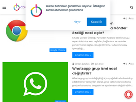 'ozengen.com' screenshot