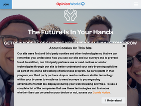 'opinionworld.co.nz' screenshot