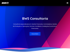 bwsconsultoria.com