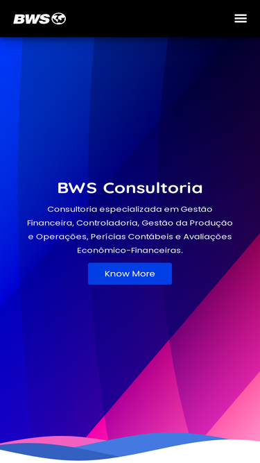 bwsconsultoria.com