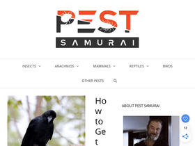 'pestsamurai.com' screenshot