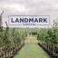 landmarknurseries.com