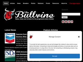 'thebullvine.com' screenshot