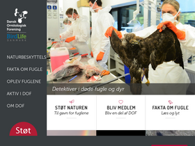 'dof.dk' screenshot