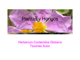 'plantasyhongos.es' screenshot