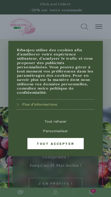 ribanjou.com