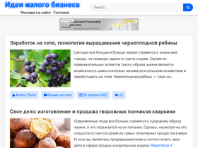elshin.ru