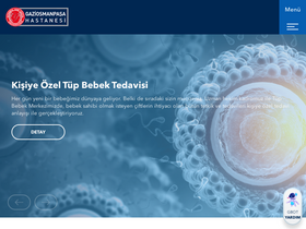 'gophastanesi.com.tr' screenshot