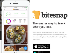 getbitesnap.com