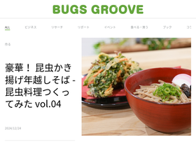 bugsgroove.com