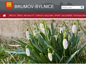 'brumov-bylnice.cz' screenshot