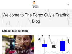 theforexguy.com