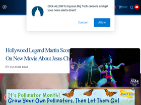 'thepoliticalinsider.com' screenshot