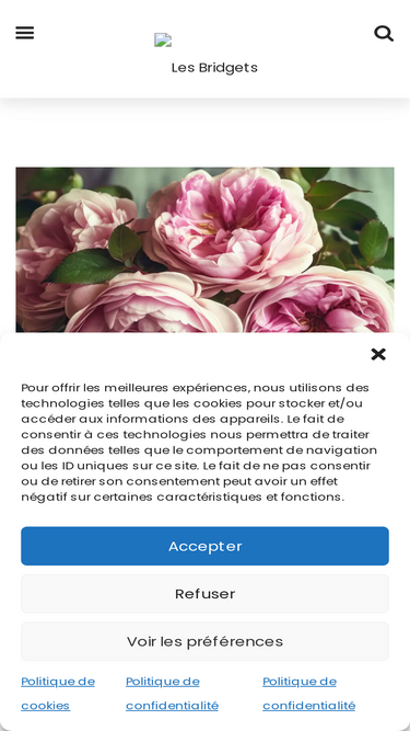 lesbridgets.com