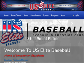 uselitebaseball.com