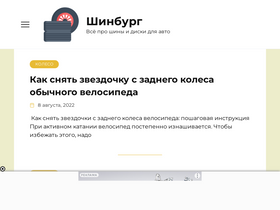 'shinburg.ru' screenshot