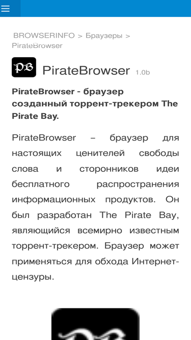 piratebrowser.ru