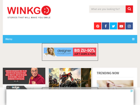 'winkgo.com' screenshot
