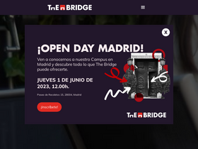thebridge.tech