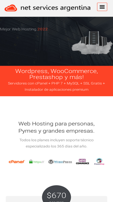 netservicesargentina.com