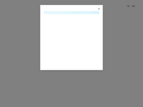'yetenekkapisi.org' screenshot