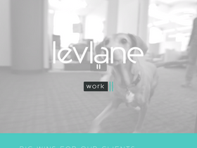 levlane.com