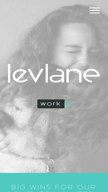 levlane.com
