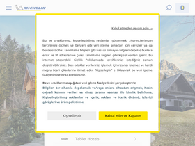 'michelin.com.tr' screenshot