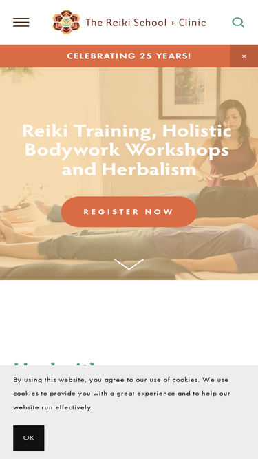 thereikischool.com