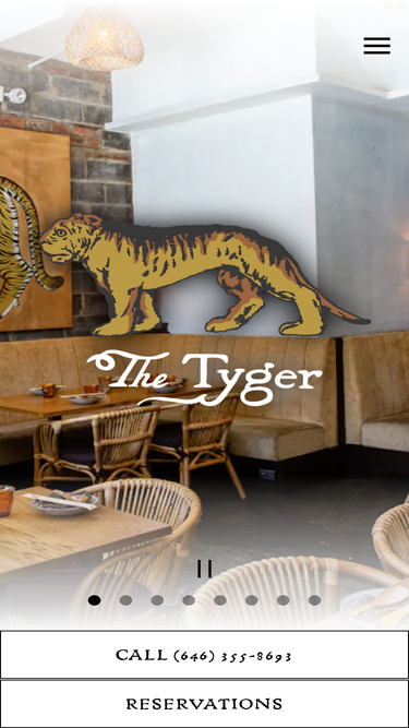 thetygernyc.com