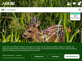 'grube.at' screenshot