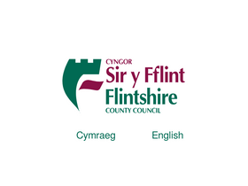 'flintshire.gov.uk' screenshot
