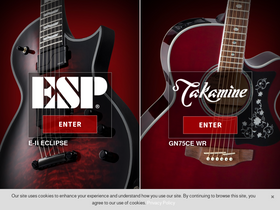 'espguitars.com' screenshot