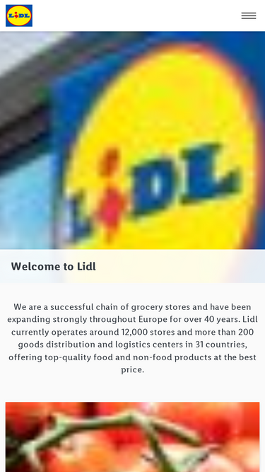 Lidl Flyer Com Analytics Market Share Stats Traffic Ranking