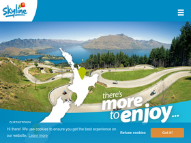'skyline.co.nz' screenshot