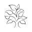 coppicegc.com