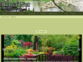 'bonsainut.com' screenshot