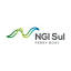 ngisul.com.br