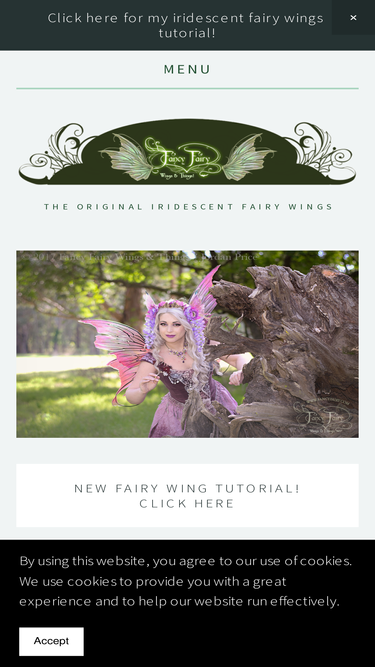 fancyfairy.com