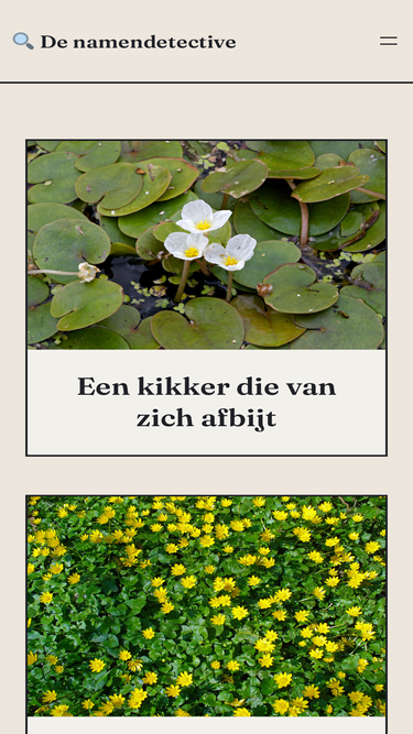 vernoeming.nl