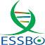 essb-oran.edu.dz