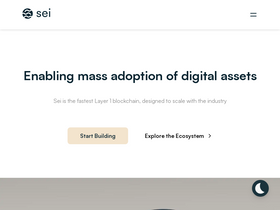 'seinetwork.io' screenshot